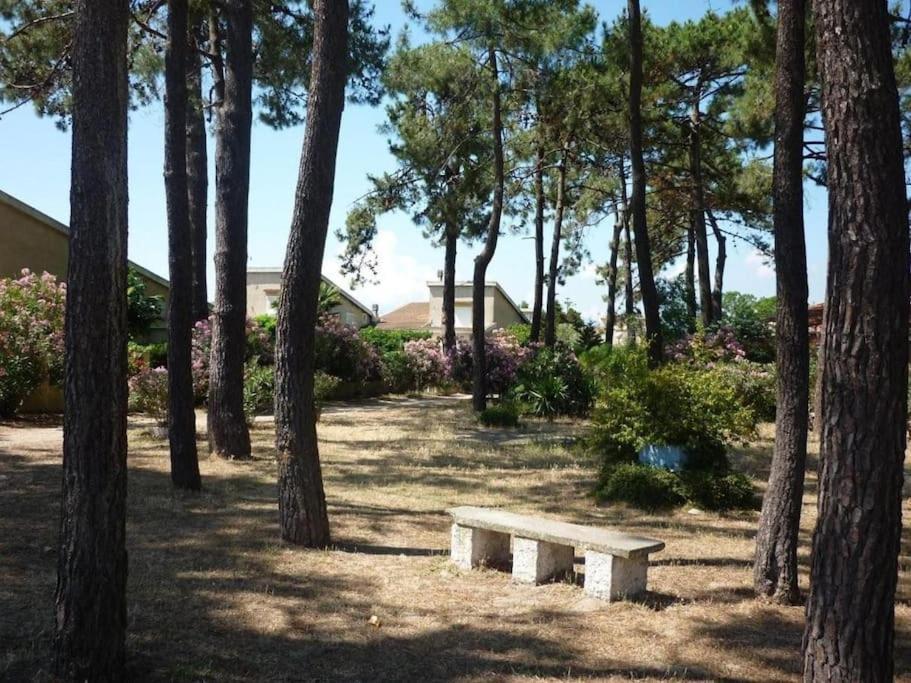 Mini T3 Duplex Borgo (Corsica)